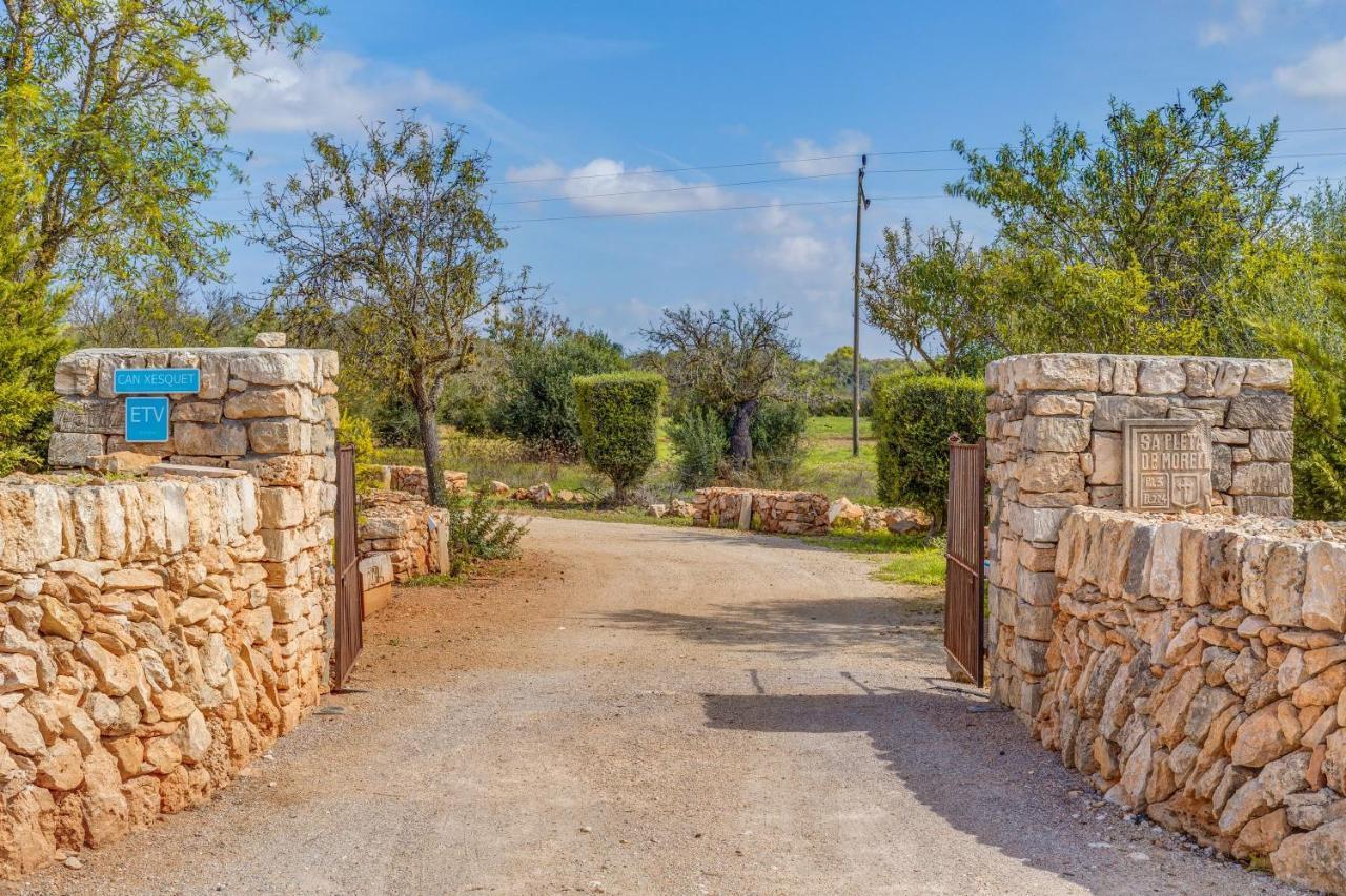 Xesquet - Morell Ses Salines (Mallorca)